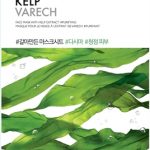The Face Shop Kelp Face Mask